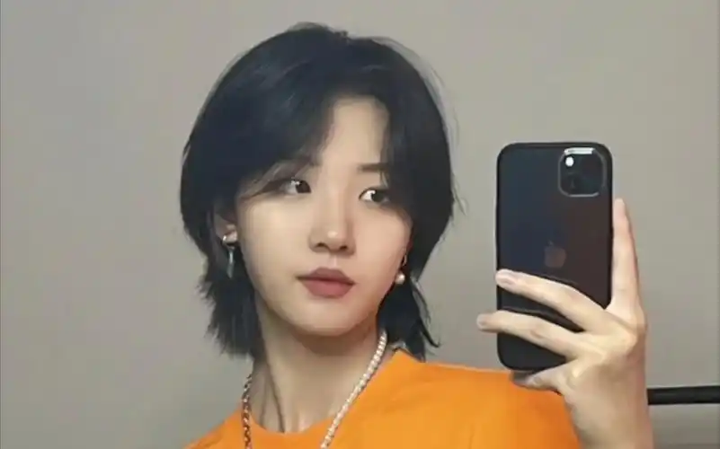 女生发型推荐-狼尾鲻鱼头