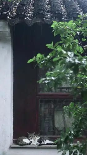 最美的不是下雨天,而是与你一起躲过的屋檐