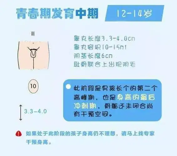 孩子早发育一年,身高少长7公分!你家孩子发育正常吗?