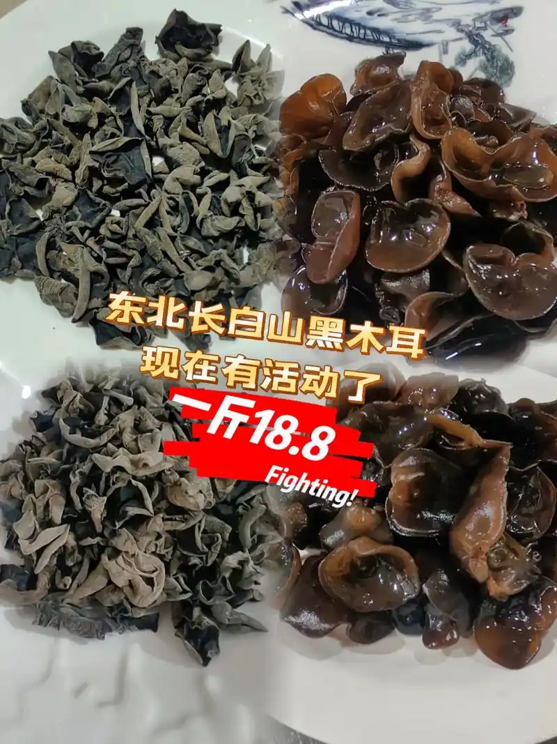 东北长白山小碗黑木耳,嘎嘎好吃