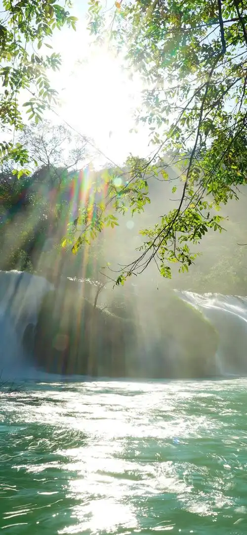 美丽的瀑布,太阳光线,湖,树枝 5k