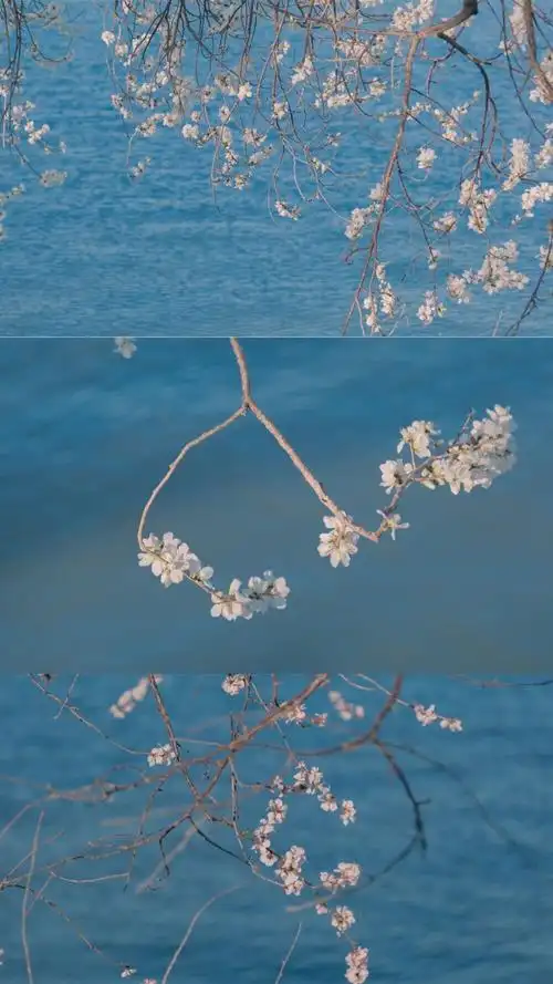 拼接风的风景壁纸图源微博