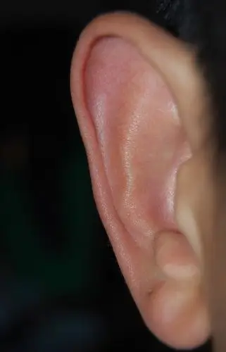 从耳朵看出你财运和健康