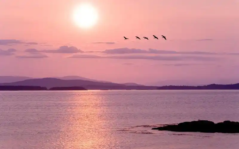 上海装修二级资质办理(共管)资质