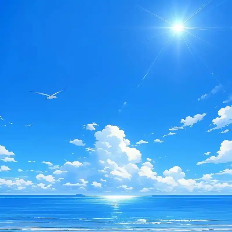 能量头像丨碧海蓝天 自由翱翔 阳光照耀