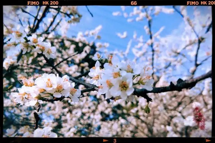 有什么壁纸能让ipad横屏和竖屏都合适