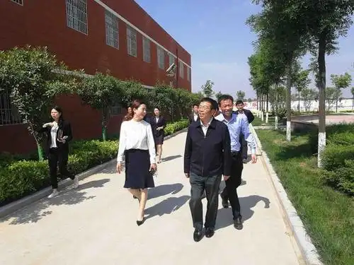 富平县委书记郭志英视察张桥镇念田小学