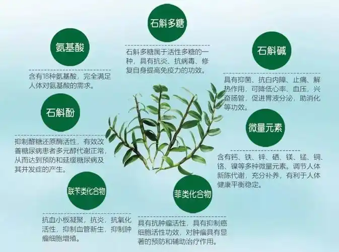 一下石斛夜光丸成分有哪些都有什么功效