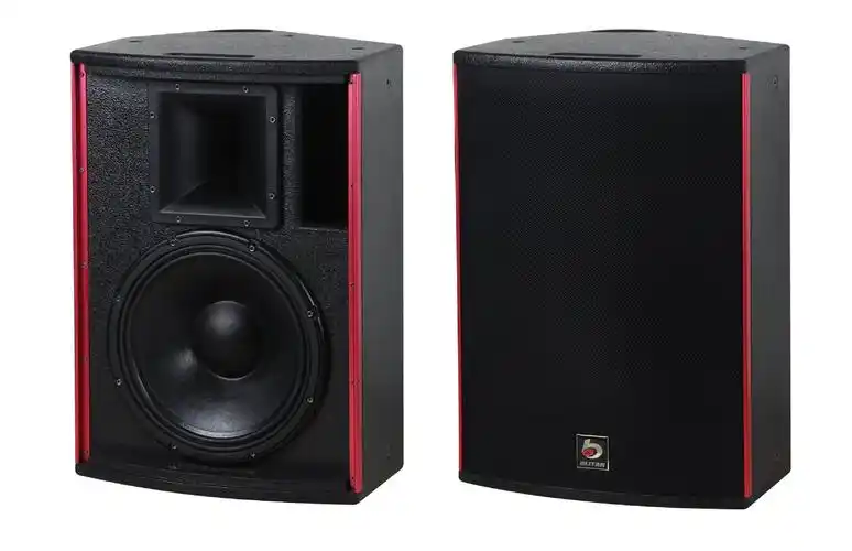 2013新款 专业音箱 ktv音箱 舞台音箱 blitar 百立达 tx-12