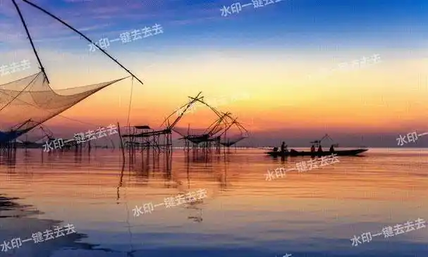 相信很多朋友都有这样的体验:当使用一般去水印工具处理图片上的瑕疵