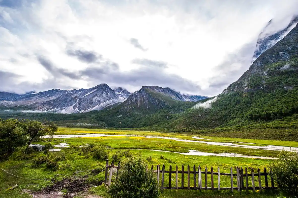 鲁朗林海是西藏林芝地区的一处自然风景区,被誉为"雪域瑞士"和"西藏