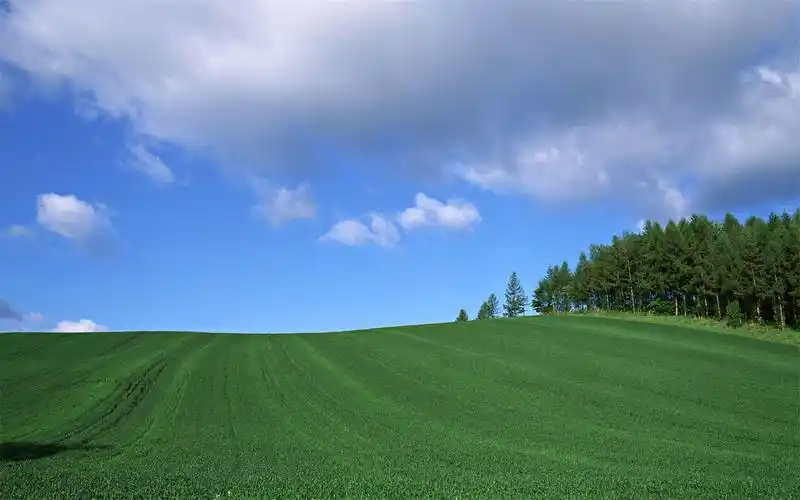 清新大草原蓝天白云秋高气爽绿色护眼桌面壁纸(一)_风景壁纸_壁纸下载