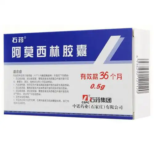 石药 阿莫西林胶囊 0.5g*36s