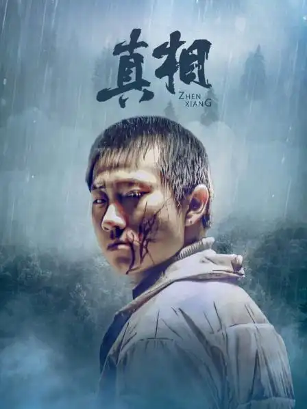 视频高清在线观看—又名:《命案十三宗续集之真相》