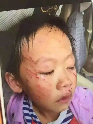 各位网友们先看一下图…,老公把儿子趁我出差不在家