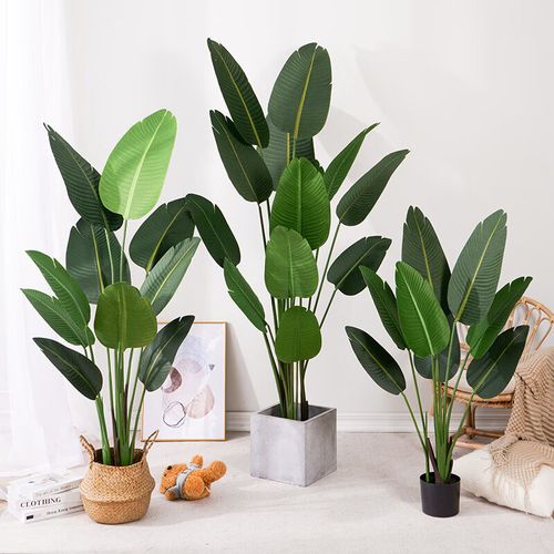仿生绿植仿真植物旅人蕉大型假树天堂鸟北欧室内客厅装饰盆栽摆件 1.