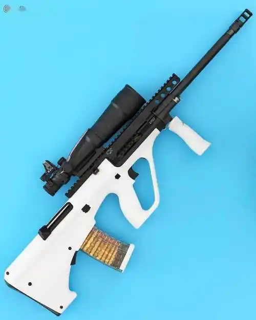 【国外枪迷相册】惊现各种组合怪您受得了吗_火器_视频_枪械