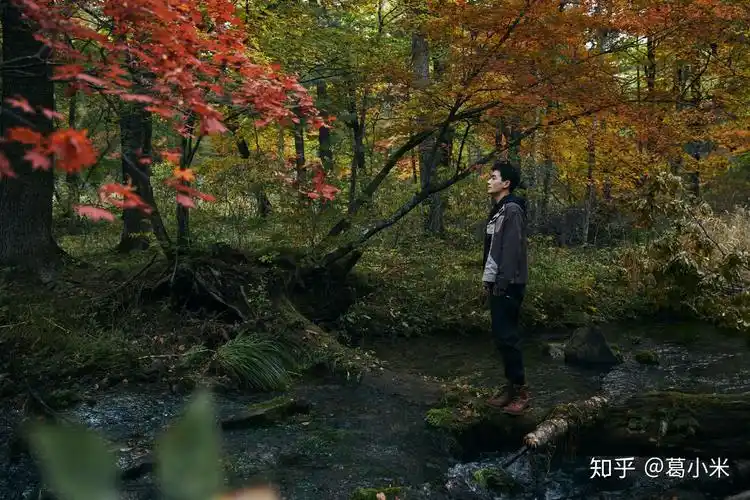 有没有朱一龙背影照或者远景照可以当手机壁纸或者电脑桌面的多多益善