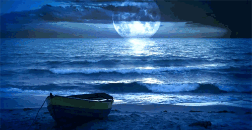 倾听海的声音,用一晃想念的时间.