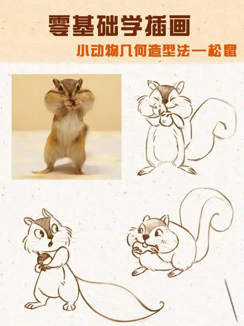 零基础动物插画,萌萌的的小松鼠画法～#抖音图文来了 #萌宠  - 抖音