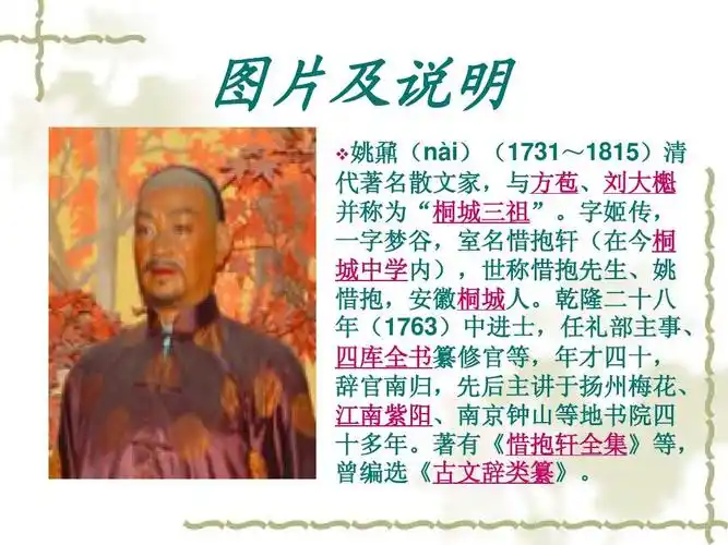 无忧文档 所有分类 人文社科 哲学/历史 姚鼐ppt 姚鼐简介 图片及说明