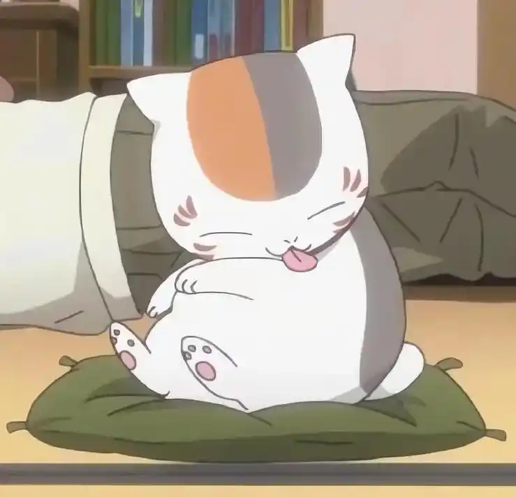 夏目友人帐 #夏目贵志 #娘口三三 #猫咪老师  猪咪和它 - 抖音