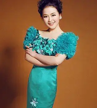 杨蕾个人资料和近况照片 杨蕾年龄