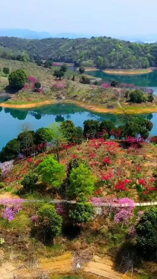 我的航拍时刻江西九江遇见武宁之美武宁花源谷