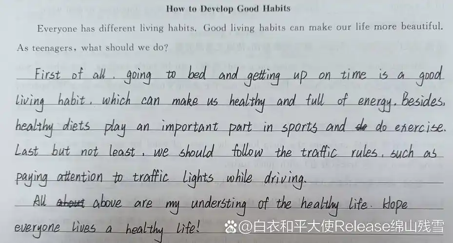 以下是我常用的两种英语字体,都是电脑上可以识别出来,笔画比较清楚的