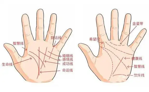 男人左手婚姻线3条图解男人手相图解大全