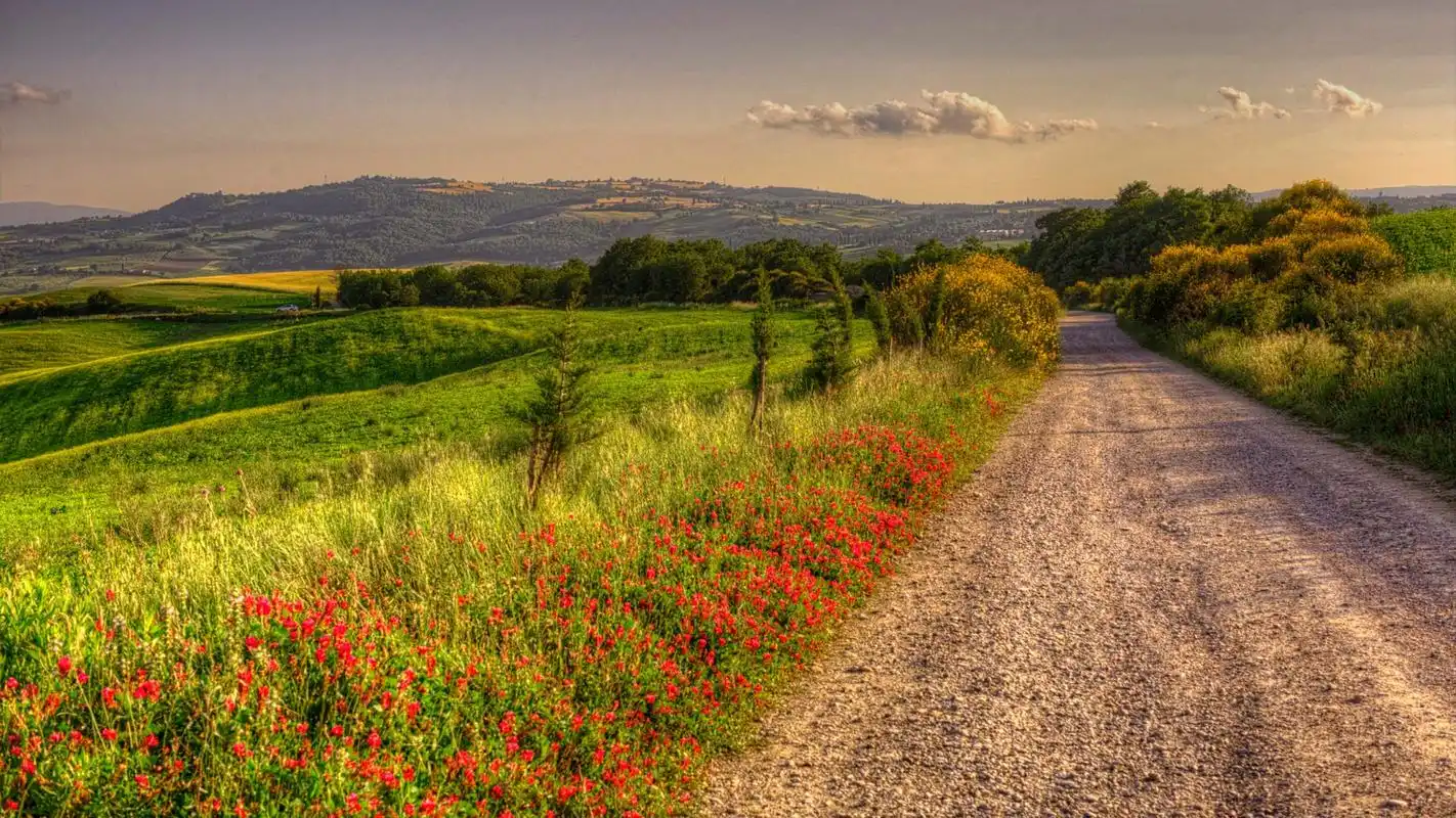 唯美清新的大自然风景图片桌面壁纸高清大图预览1920x1200_风景壁纸