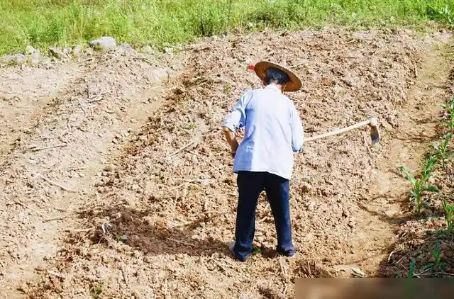 有些农村人觉得农民苦那为何不离开农村去城市生活呢