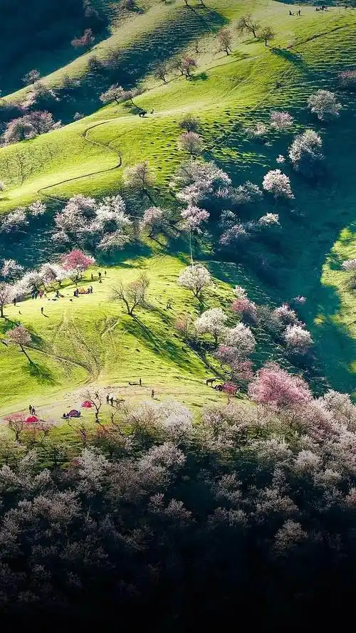 成为新疆著名的旅游观光度假区那拉提景区是国家5a级旅游风景区是新