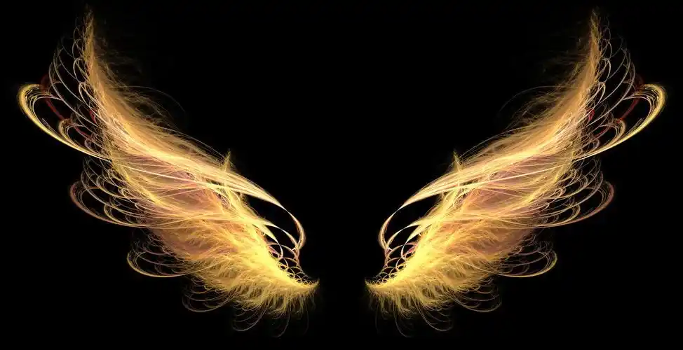 金翅膀图片