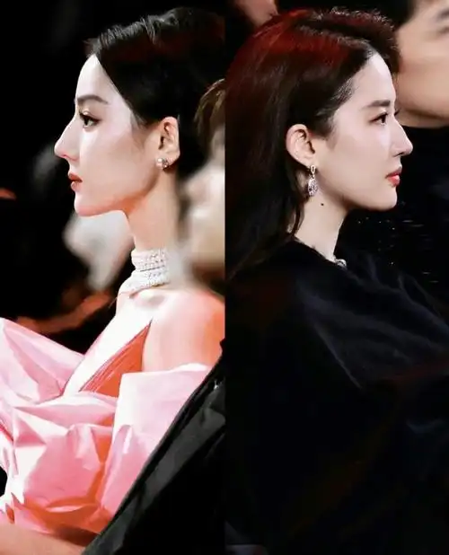 刘亦菲迪丽热巴侧脸对比照##刘亦菲迪丽热巴侧颜对比照##刘亦菲