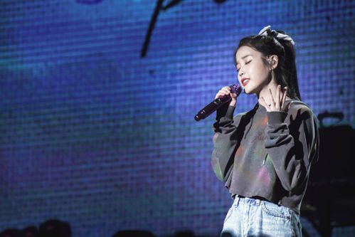 iu李知恩同款韩版演唱会上衣潮宽松字母刺绣长袖短款连帽ins卫衣