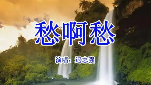 迟志强 - 愁啊愁