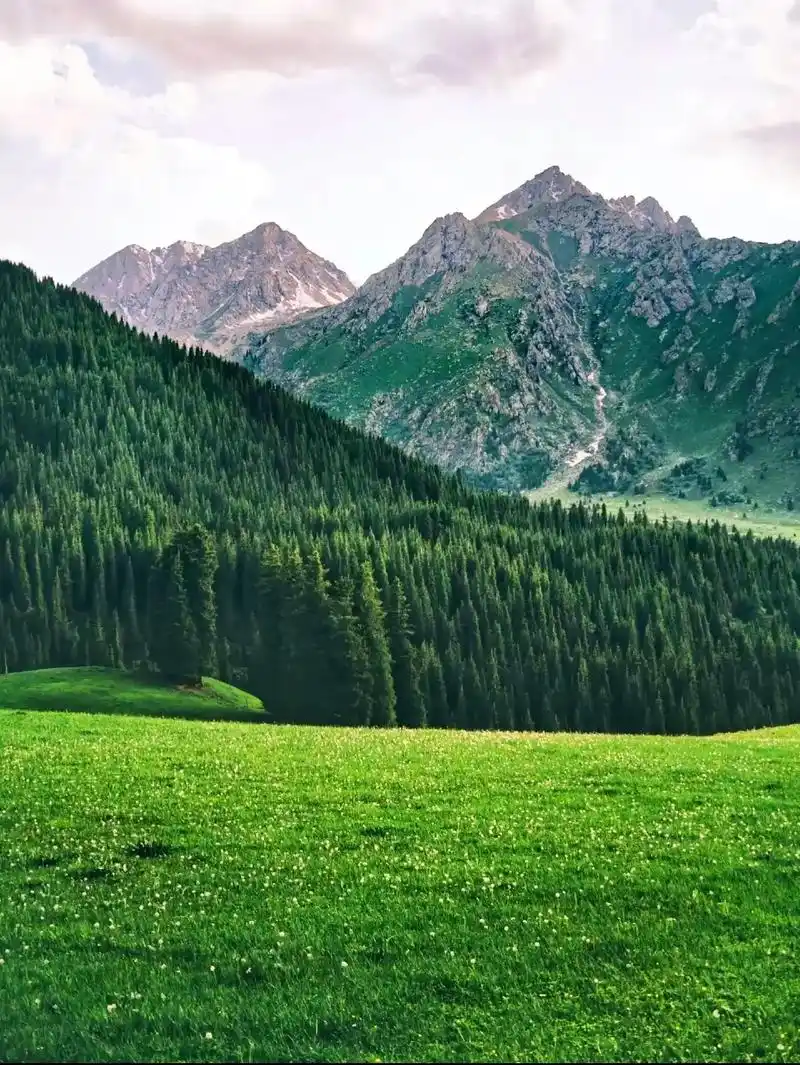 大美新疆伊犁河谷.人生有什么意义? 都想给人生找一个意义,其 - 抖音