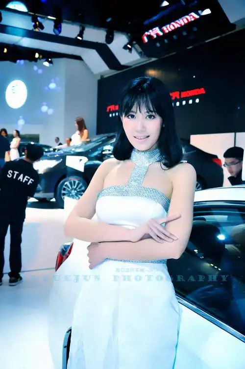 2014海口国际车展 (22/24)