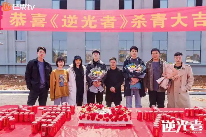 《逆光者》是由彭冠英,张雨剑领衔主演的当代公安题材的电视剧.