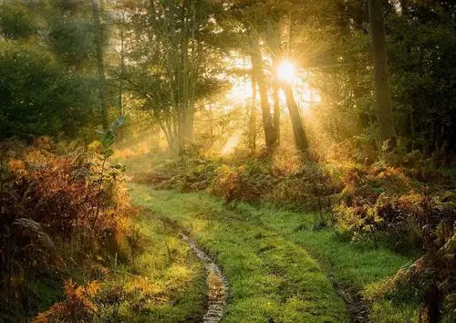 唯美风景壁纸-5 沐浴在阳光下