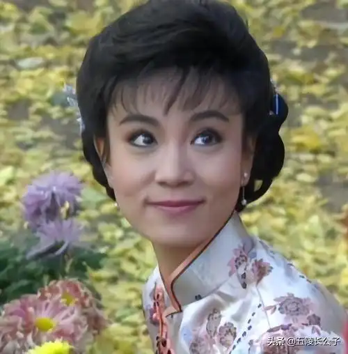 这部电视剧的女主角饰演者刘雪华曾经是琼瑶的御用演员,素来以悲情戏