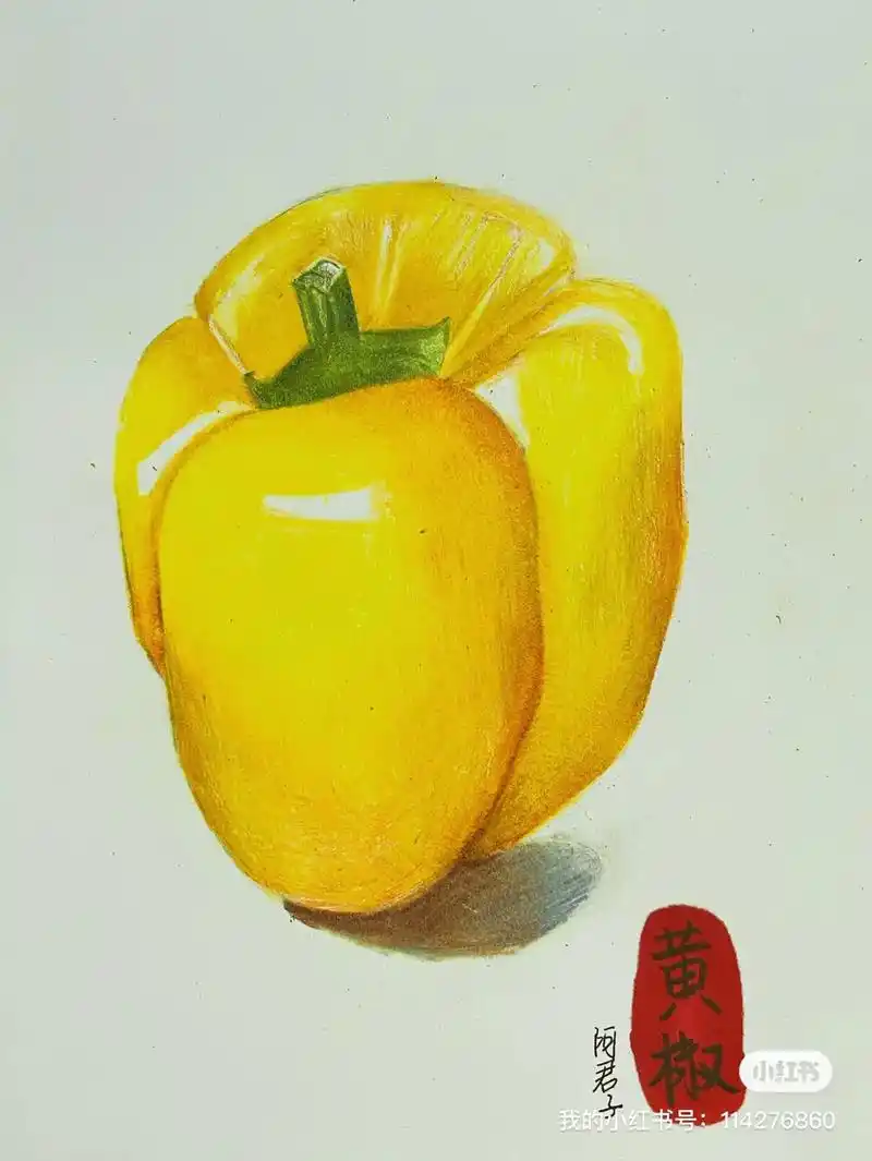 彩铅画基础入门 | 黄椒.#彩铅手绘 #彩铅画 #彩铅教程  - 抖音