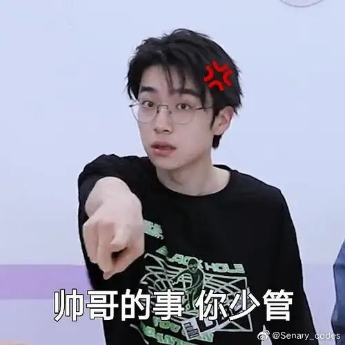 求张嘉元的表情包