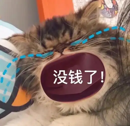 没钱向对象爸妈讨钱之表情包
