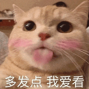 300_300gif 动态图 动图