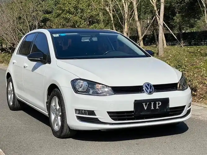 大众 高尔夫  2015款 1.4tsi 自动舒适型图片