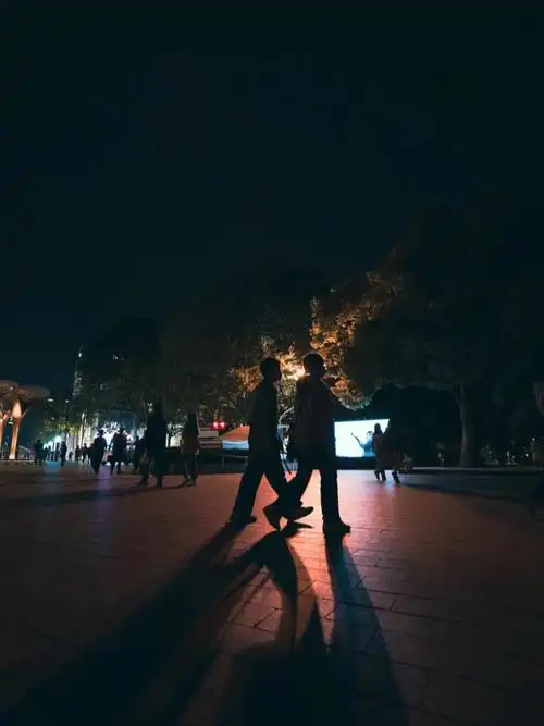 随拍夜晚在湖滨散步西湖的风依旧温柔