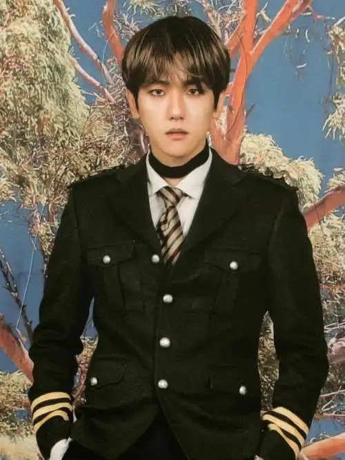 军装制服直接倒地,做梦素材有了.#边伯贤  #exo  #边伯贤壁纸