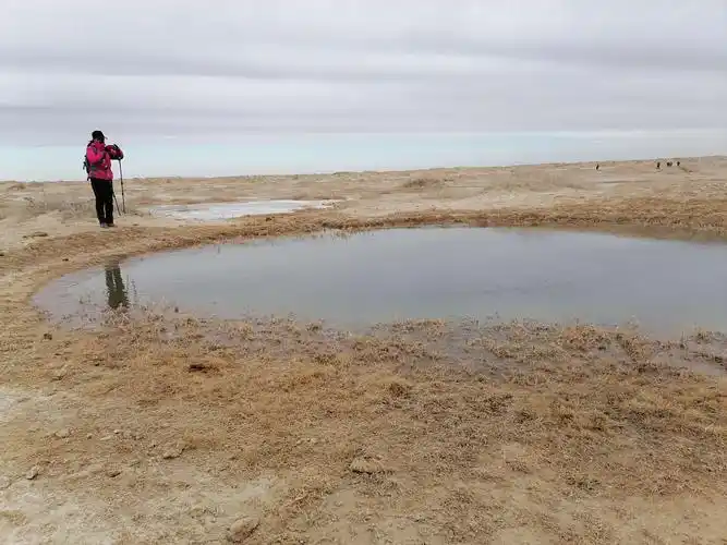 2021年2月14日,大年初三徒步乌兰布和沙漠盐湖,母神树和骆驼泉